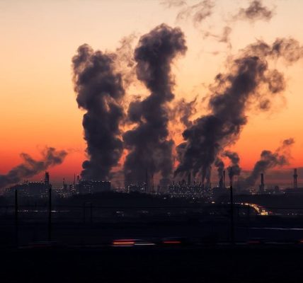 China's ecological destruction