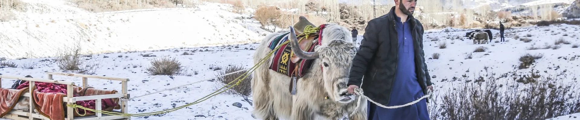 silencing gilgit baltistan