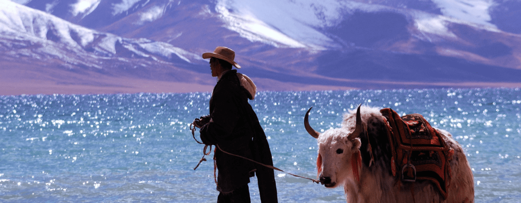 chinas sedenterization of tibetan nomads