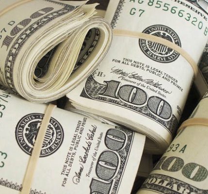 Making Profits in Public Crises