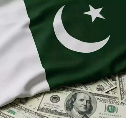 Pakistan’s Finance Committee Sounds Alarm Over Failing Economic Policies