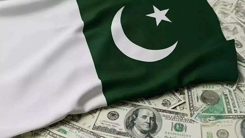 Pakistan’s Finance Committee Sounds Alarm Over Failing Economic Policies