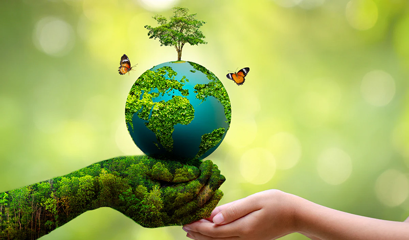World Environment day 2026