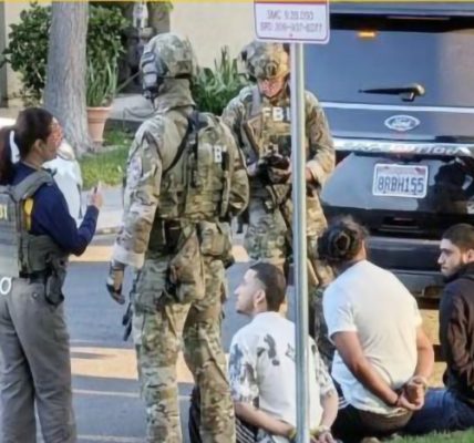 Operation Hard Ball and India’s Crucial Role in Borderless Enforcement