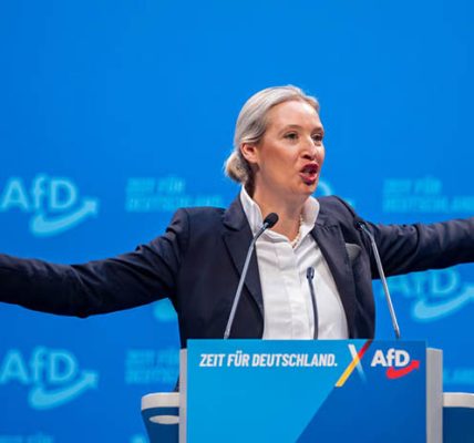 AfD’s Rising Political Power